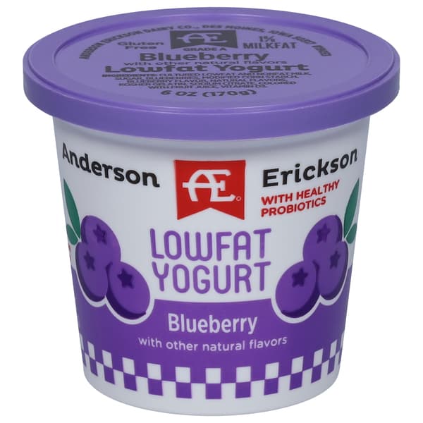 Ae Dairy Blueberry Lowfat Yogurt