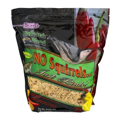 Bird Lovers Blend No Squirrels Just Birds