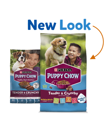 Purina Puppy Chow High Protein Pate Wet Puppy Food With Real Beef