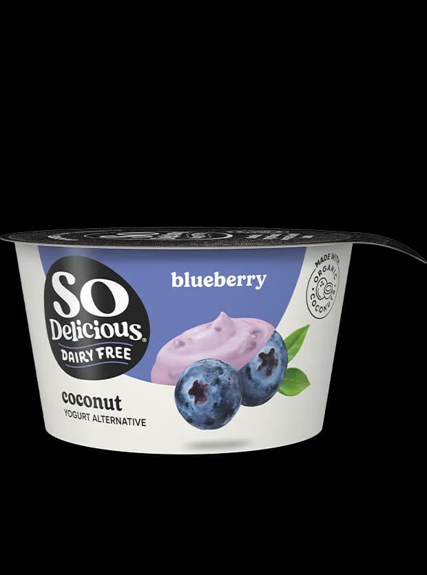 So Delicious Dairy Free Blueberry Coconutmilk Yogurt