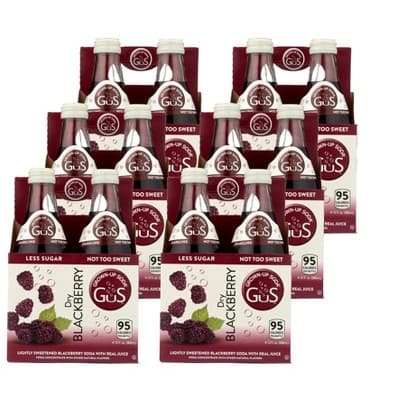 Gus Dry Blackberry Soda