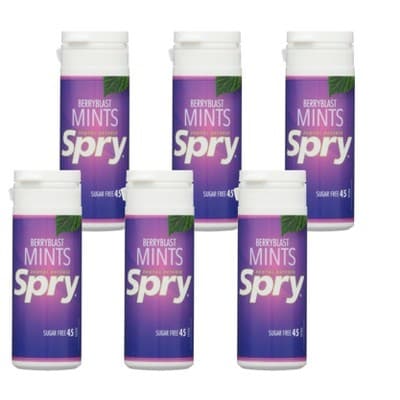Spry Berry Blast Sugar-Free Mints