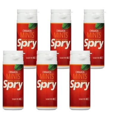 Spry Cinnamon Sugar-Free Mints