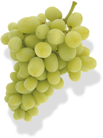 Hronis Ranch Green Seedless Table Grapes