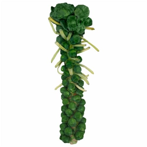 Brussels Sprouts - Stalk