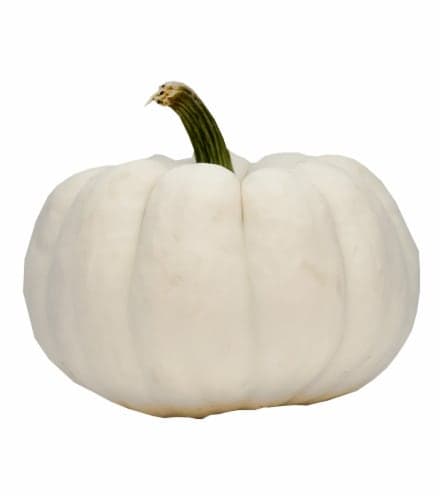 Fresh Pumpkin, White