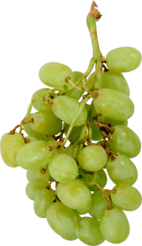 In-Store Cut Green Seedless Grapes Tray