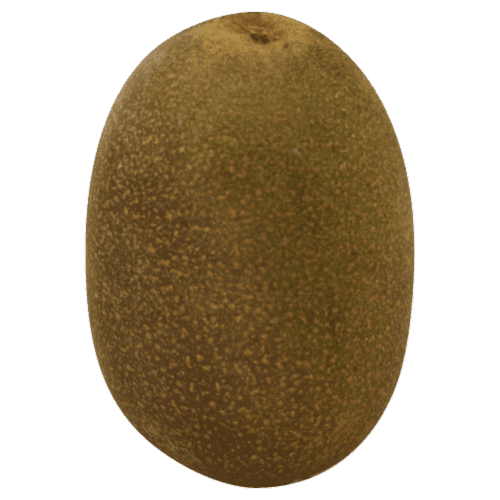 Golden New Zealand Kiwi