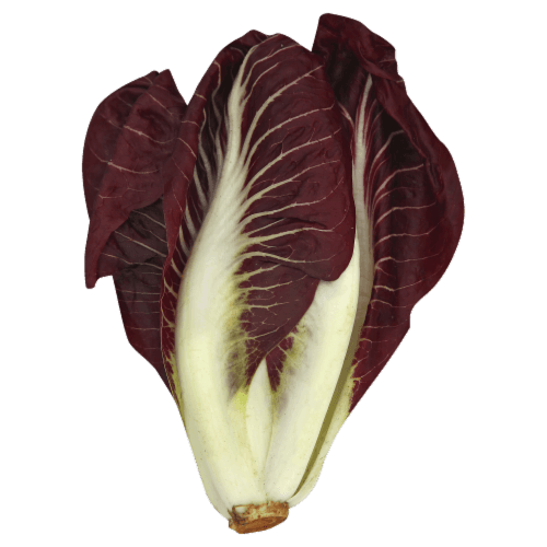 Red Belgian Endive Lettuce