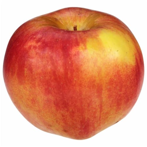 Autumn Glory Apples