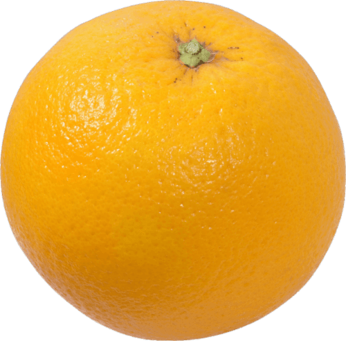 Small Valencia Oranges