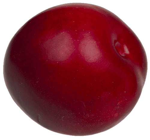 Small Red Plums
