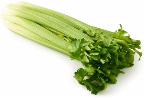 Fresh Celery