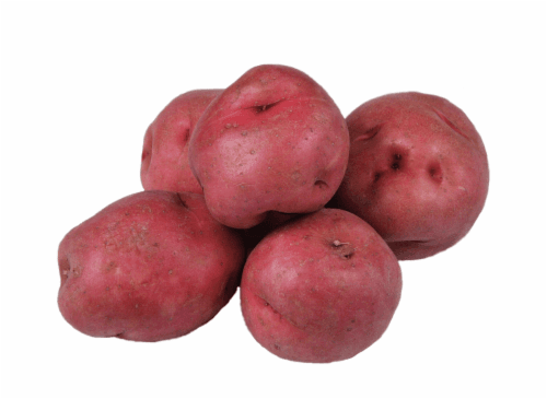 Fresh Potato, Red