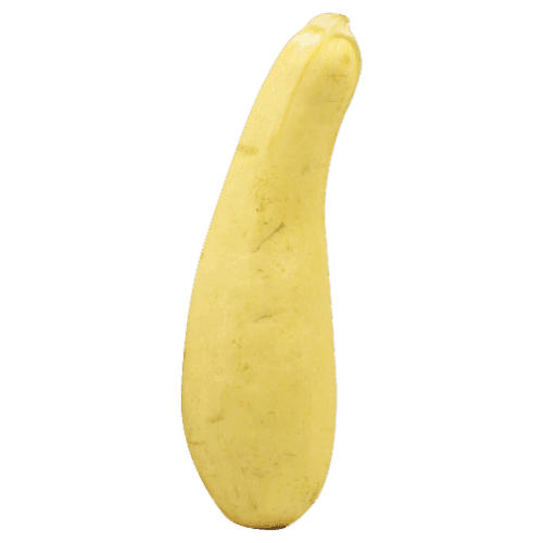 Gold Bar Squash