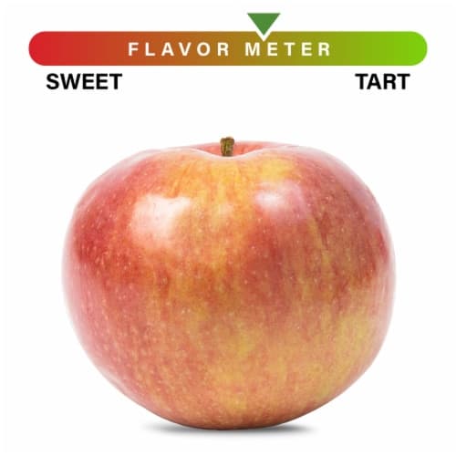Large Mcintosh Apple
