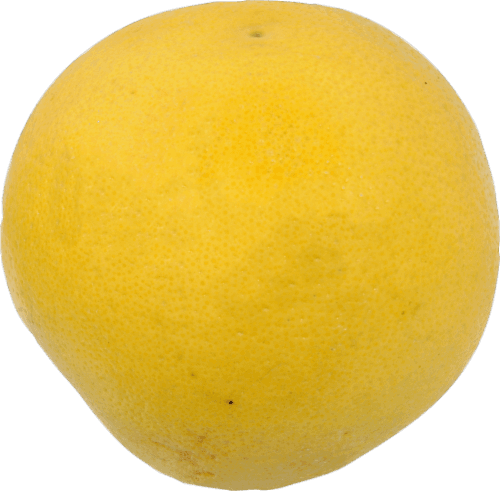 Small White Grapefruit