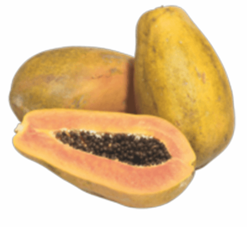 Carribean Red Papaya