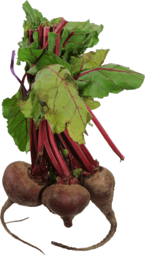 Fresh Beetroot