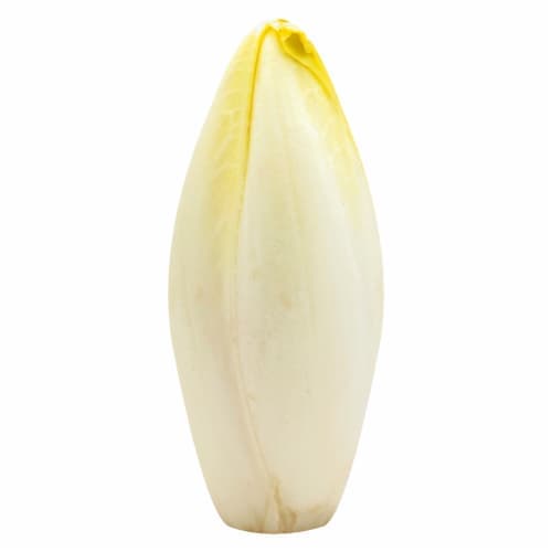 Belgian Endive