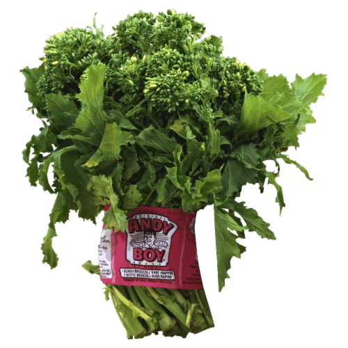 Italian Broccoli Rapini