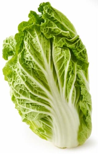 Fresh Cabbage, Napa
