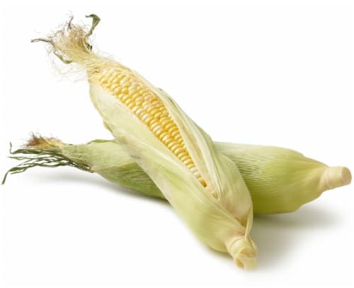 Corn On The Cob