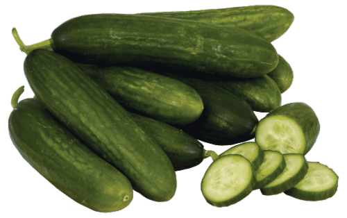 Persian Cucumber