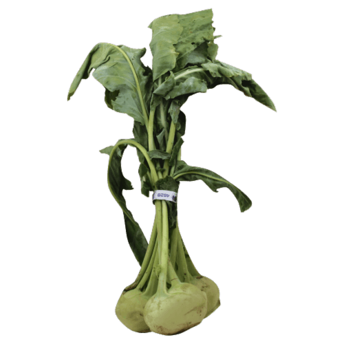 Fresh Kohlrabi