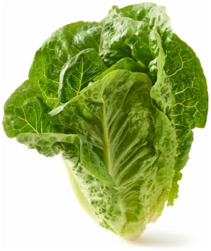 Fresh Lettuce, Romaine