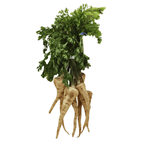 Parsley Roots