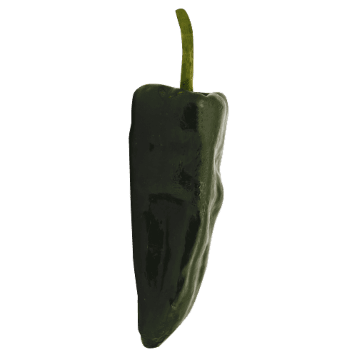 Pasilla Peppers