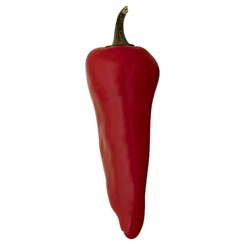 Red Fresno Chile