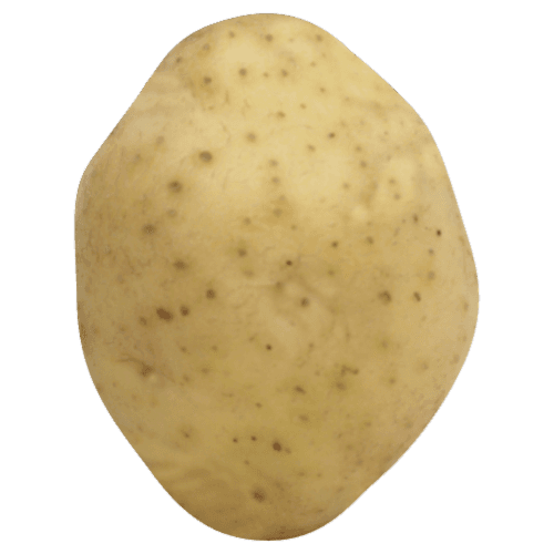 White Creamer Potatoes