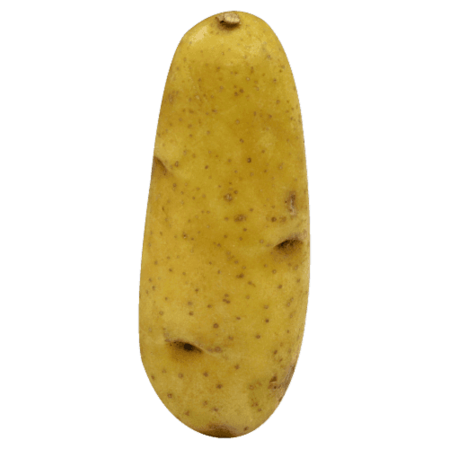 Small Red Potatoes