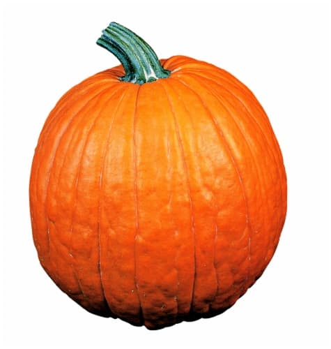 Fresh Pumpkin
