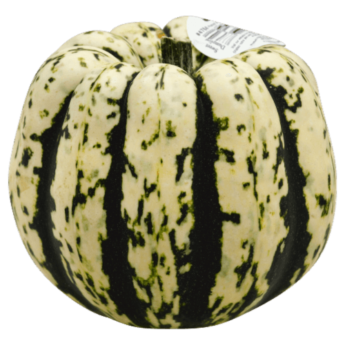 Squash