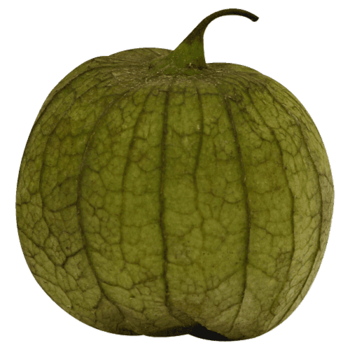 Fresh Tomatillo