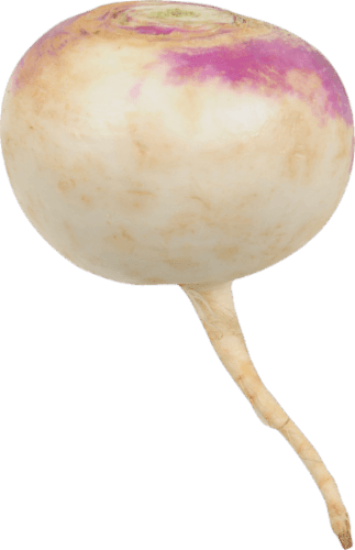 Produce Turnip, Purple Toop