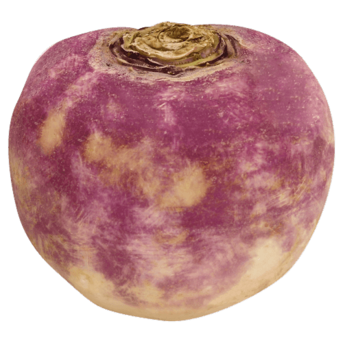 Cape White Turnips