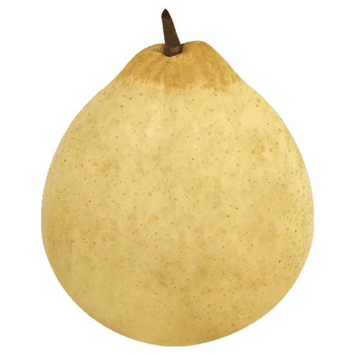 Fresh Pear, Chinese Yali