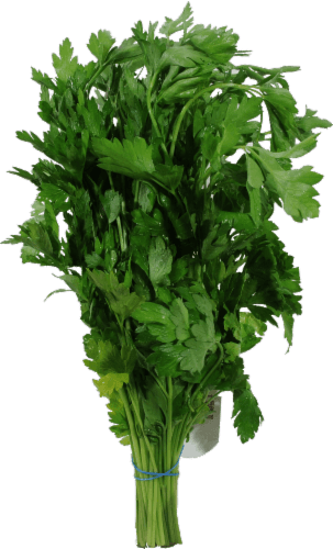 Fresh Parsley