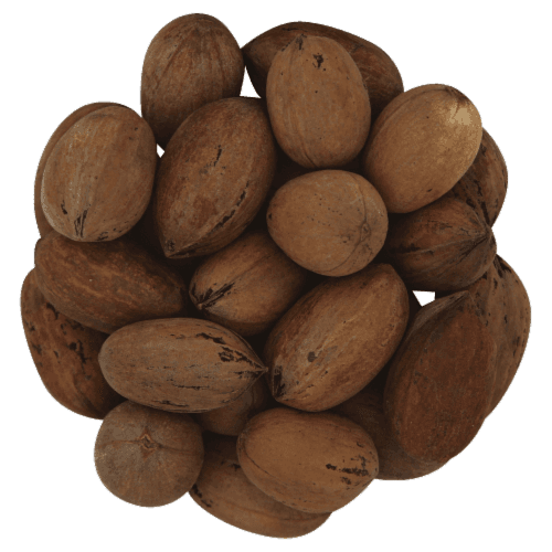 Pecans - In-Shell - Bulk