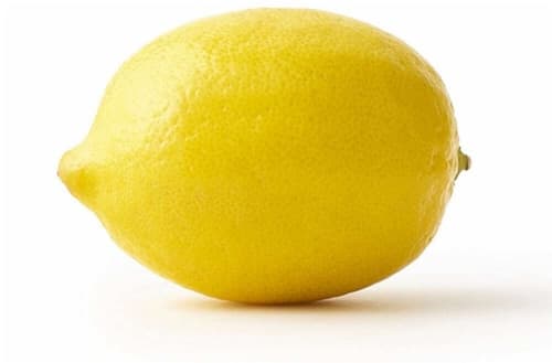 Fresh Medium Lemon