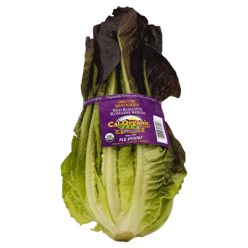 Organic Red Romaine Lettuce