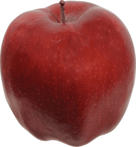 Large Organic Red Delicious Apples