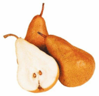 Small Organic Bosc Pears
