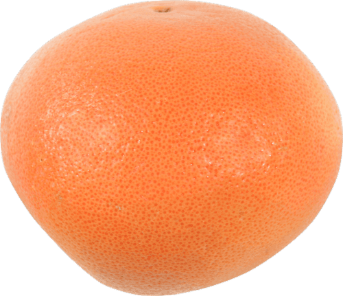 Organic Red Grapefruit