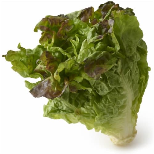 Fresh Leaf Lettuce, Organic, Red