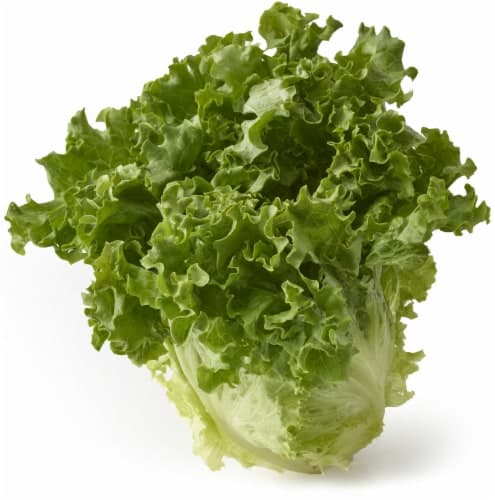 Fresh Lettuce, Organic, Green Leaf